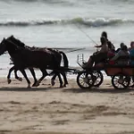 Apartment Confortable A Pour 5 Pers, Face A La - Fr-1-323-340 *