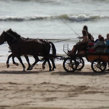 Apartament Confortable A Pour 5 Pers, Face A La - Fr-1-323-340 *