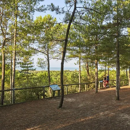 Apartament Confortable A Pour 5 Pers, Face A La - Fr-1-323-340