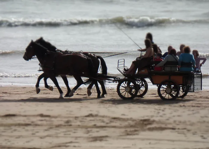 아파트 Confortable A Pour 5 Pers, Face A La - Fr-1-323-340 *