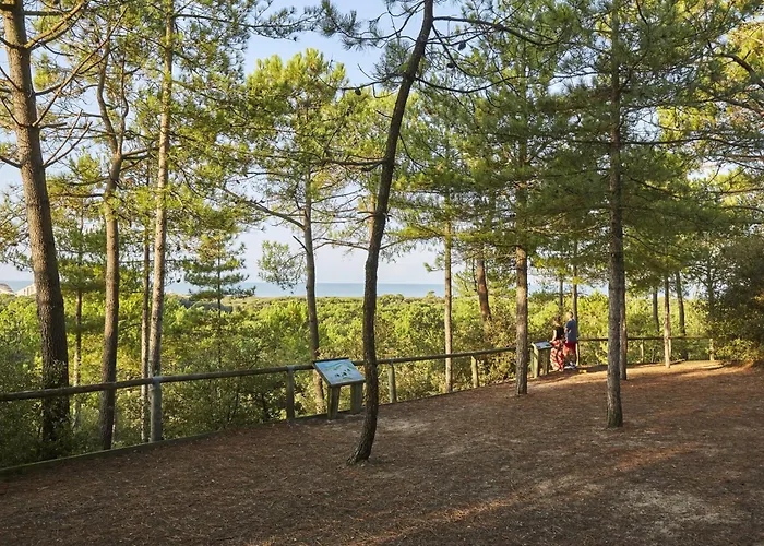 아파트 Confortable A Pour 5 Pers, Face A La - Fr-1-323-340